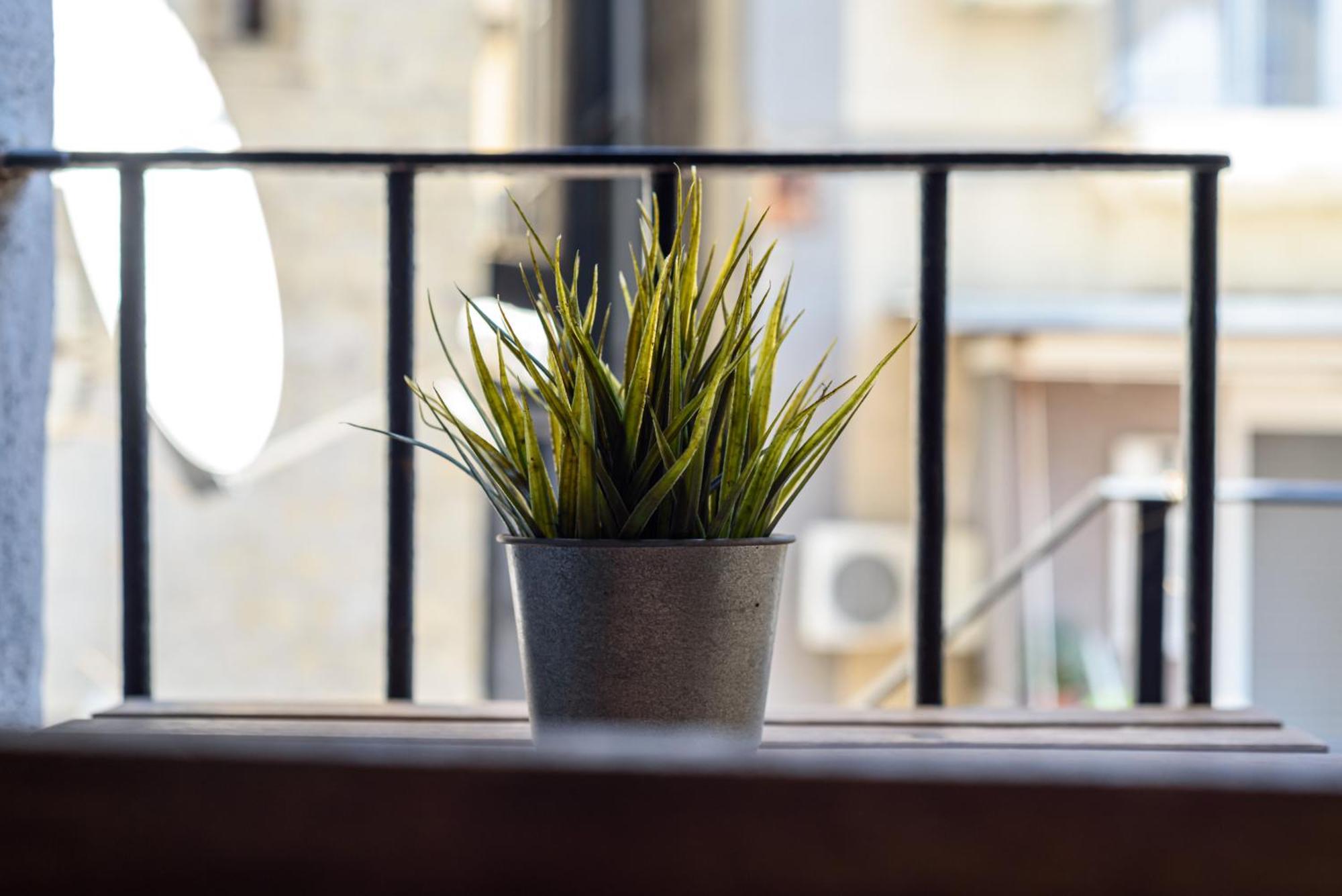 La Terrazzina Sul Porto Apartman Nápoly Kültér fotó