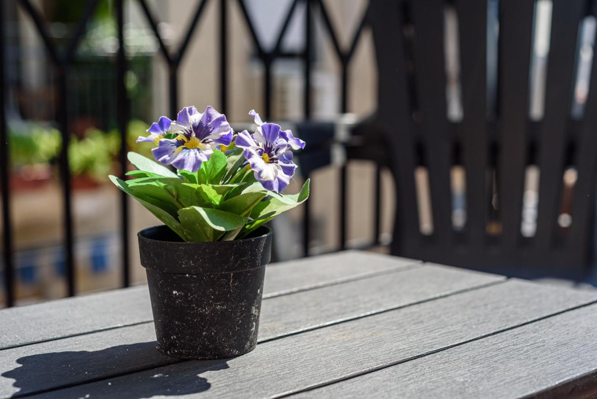La Terrazzina Sul Porto Apartman Nápoly Kültér fotó